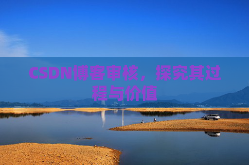 CSDN博客审核，探究其过程与价值